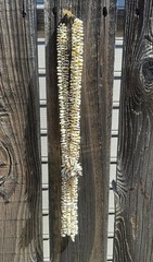 Vintage Statement Necklace Hand Strung Multi Strand Shell Beads Cluster #1
