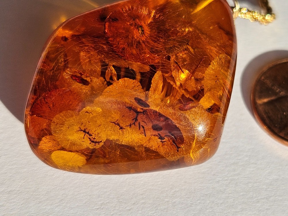 Amber. Thick. Many fossil inclusions. Latvia. Pendant on gold tone chain.