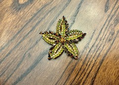 Vintage Rhinestone Brooch Flower Star Brown Green Rainbow AB Beautiful Prong Set