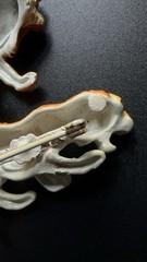 Lind Gal Lion & Tiger Brooches Lot Of 2 Orange Stripes Enamel Figural Pins Vtg