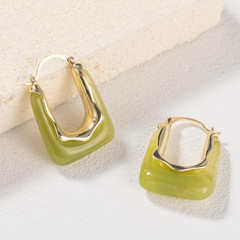 Acrylic Gold Hoop Earrings Chunky Huggie Statement Vintage Earrings Cute Resin D