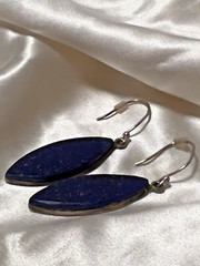 Blue Natural Gemstone Silver tone Dangle Earrings