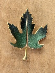 Lot of 7 Vintage Costume Jewelry Brooches and Clips, Frog, Leaves, Ornament