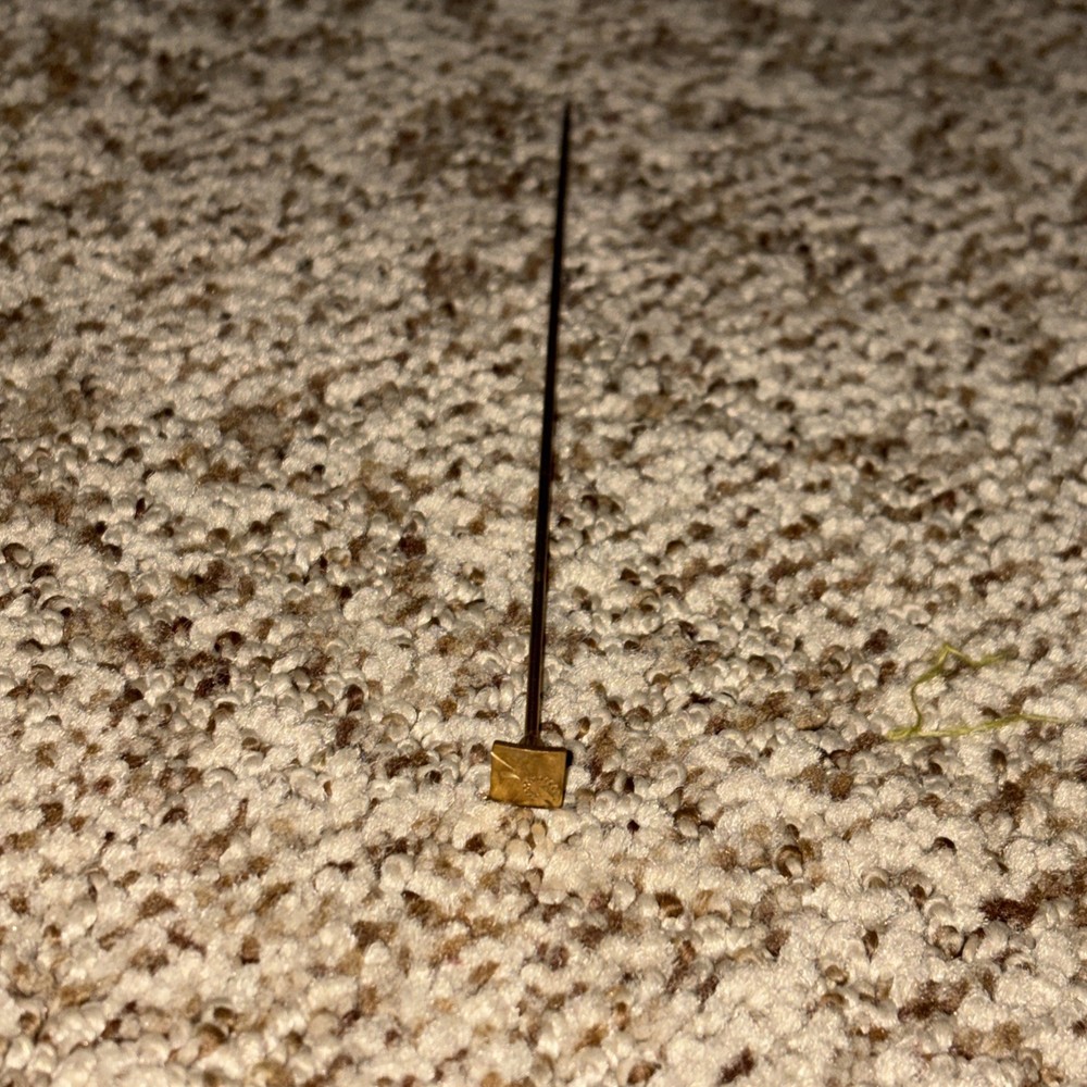 Antique Beautiful Unmarked Yellow Gold Filled Victorian Hat Stick Pin 6”