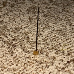 Antique Beautiful Unmarked Yellow Gold Filled Victorian Hat Stick Pin 6”
