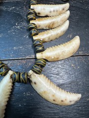 Vintage Nepal Shell Tusk Necklace • Himalayan Tribal Statement Necklace • Handc