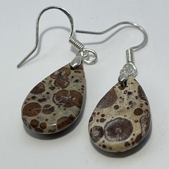 Teardrop Asteroid Jasper Sterling French Wire Earrings Natural Gemstone Casual