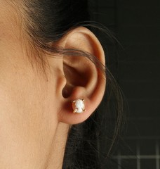 Italian Conch Shell Cameo Earrings 14K Gold Plated Sterling Silver ½” MSRP $95