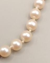 Vintage 1950s Knotted Faux Pearl Strand Necklace 16″ Choker Box Clasp 0.6oz