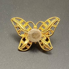 Vtg Petoskey Stone Butterfly Brooch Filigree Gold Tone Pin Box Michigan Fossil