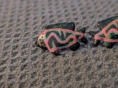 Lunch At The Ritz Pierced Fish Earrings
