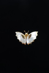 Women’s Vintage Butterfly / Moth Carved Mother Of Pearl Shell Gold Tone Brooch
