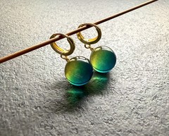 Unique blue Natural dyed Amber Earrings 5.9g