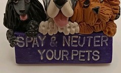 Vtg. 90s Veterinary 3D Dog Head Lapel Pin Spay Neuter Pets Advocacy Polymer Clay