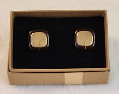 Vintage Napier 1984 Tortoise Collection Resin Clip On Screwback Earrings