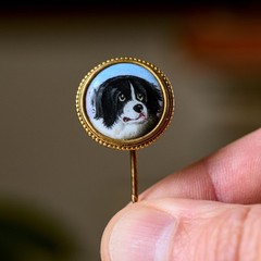 LOVELY ANTIQUE VICTORIAN ENGLISH 15K GOLD ENAMEL STICKPIN BERNESE MOUNTAIN DOG