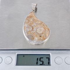 Coral Fossil Pendant | Teardrop Stone Setting | Sterling Silver 925