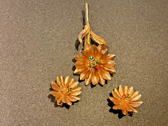 Vintage Gold Tone Multicolor Rhinestone Flower Brooch Pin And Earrings Set