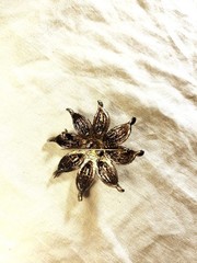 Vintage Carol Dauplais Jeweled Sunburst Flower Brooch