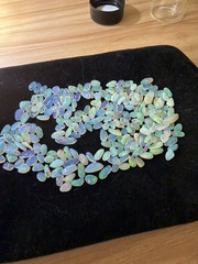 50 Carat Lot Natural Ethiopian Welo Opal Chips – Vibrant Multicolor Fire Play –
