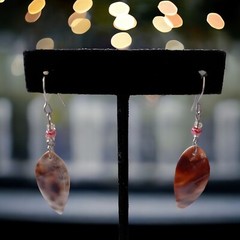 Dainty Tiger Cowrie Shell Earrings Brown Tan Beach Coastal Bohemian Drop Dangle