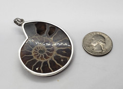 Vintage Large Ammolite Opalized Ammonite Mollusk Fossil Sterling Silver PENDANT