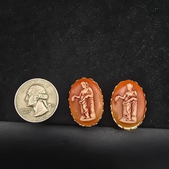 Roman Woman Portrait Cameo Clip On Earrings Acrylic Gold Tone Vintage NOS