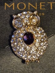 NEW Vintage MONET Sparkly Clear Crucifix Purple Oval OWL Bird Pin Brooch Unique
