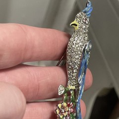CORO Duette Brooch: Blue Calopsitta / Birds of Paradise