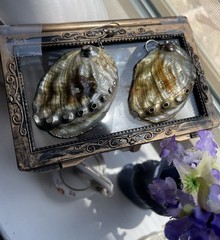 Vintage Iridescent abalone sea shell 2 inch earrings & Smal Pendant