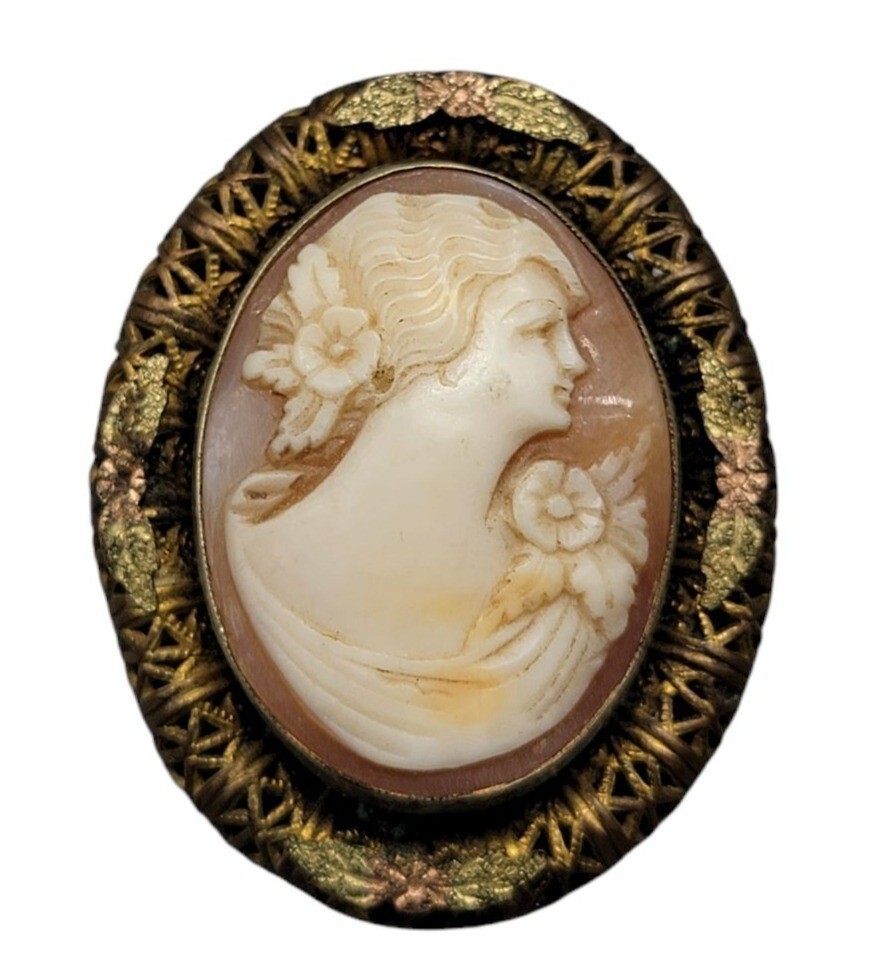 Vintage Carved Cameo Brooch Intricate Woven Frame Mixed Metal Gold Plated Leaves