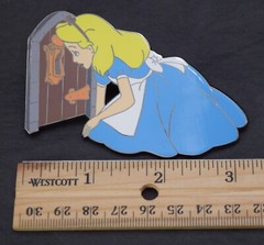 FOLLOW ME DOWN THE RABBIT HOLE ALICE IN WONDERLAND PIN LE 50- UNBRANDED