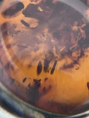 Natural Baltic Amber Organic Fossil 925 Silver Vintage Large Pendant Latvia 70s