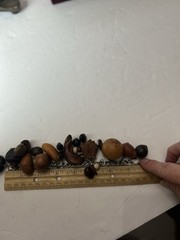 Vintage Nut Charm Bracelet 7” Nature Seed Pod Fruit Cluster Chain Jewelry