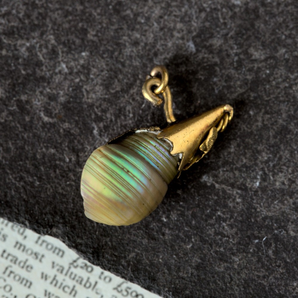 UNUSUAL ANTIQUE VICTORIAN GOLD SPIRAL MAIREENER RAINBOW KELP SHELL CHARM PENDANT