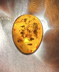 Vintage Pre- Historic Amber Sterling Silver Oval Clip-On Earrings TW. 6 Grams
