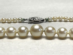 Vintage Graduated Akoya Cultured Pearl Necklace 18.5in 10K Filigree Clasp 14g