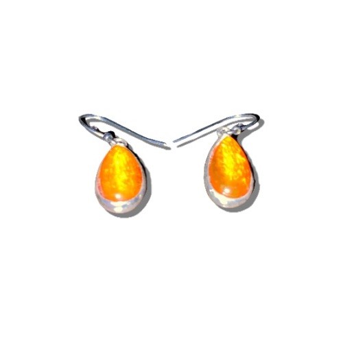 Vintage Liz Claiborne Sterling Baltic Amber Silver Earrings