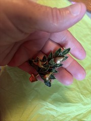 Vintage Rare Signed Original By Robert Christmas Tree Brooch-Green Ivy Branches