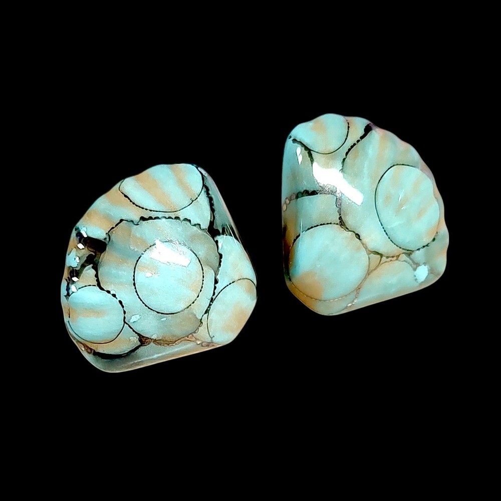 Chunky Ocean Blue Boho Coastal Sea Shells Statement Everyday Earrings 1.25″