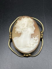 Vintage Cameo Brooch Pin Pendant Lot Of 6 One Carve Shell Lady In Profile