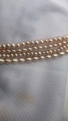 JcPennys Pink Pearl Set Circa 1980s New