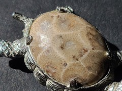Vintage Petoskey Stone Silvertone Turtle Tortoise Brooch Pin Fossilized Coral