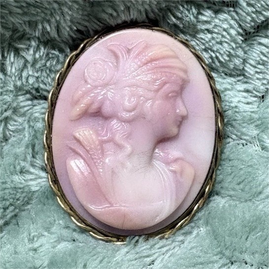Oval Pink Cameo Portrait Brooch Pin Gold Tone Frame Beauty Theme
