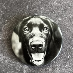 Dog Face Button Pinback Pin Lot Pug Labrador Animal Lover Vintage Collectables
