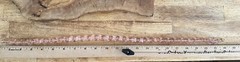 Vintage Pink Molded Resin Pools of Light Necklace • Glamorous Beads Screw Clasp