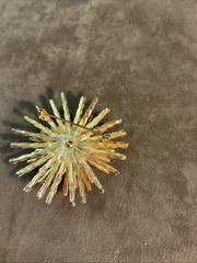 Then Signed Monáe Goldtone Starburst 1970S Vintage Pin/Brooch