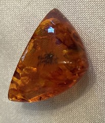 Small Vintage Amber insect fossil Pin Brooch 1.5”