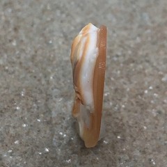 (ME-120) Shell Cameo Loose Stone: Hermes, God of Wednesday (Day of the Week Seri