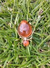 Vintage Russian USSR Baltic Amber Ant Bug Brooch Pin Gold Tone Spider Signed